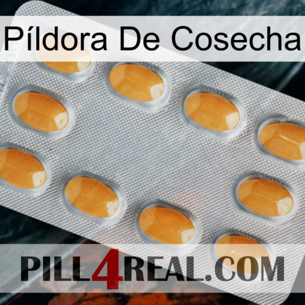 Píldora De Cosecha cialis3.jpg